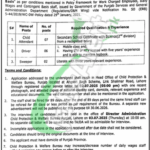 Child Protection and Welfare Bureau Punjab Jobs