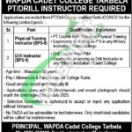 WAPDA Cadet College Tarbela Jobs