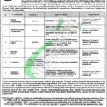 PHC Jobs