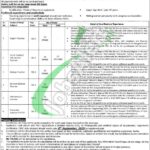 Danish School Mianwali Jobs