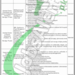 NTL Jobs