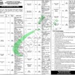 Specialized Healthcare and Medical Education Department Punjab Jobs 2025 Latest Specialized Healthcare and Medical Education Department Punjab Jobs