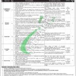 Online Apply PPRA Jobs 2026 Application Form Latest Offers PPRA Jobs Ad