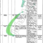 Human Rights and Minorities Affairs Department Punjab Jobs 2026 Lahore Latest Human Rights and Minorities Affairs Department Punjab Jobs