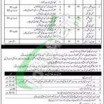 AFID Rawalpindi Jobs