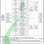 NADRA Peshawar Jobs