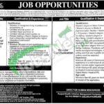 Punjab Health Initiative Management Company Jobs