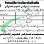 PHA Lahore Jobs 2026 Parks & Horticulture Authority for Legal Advisor PHA Lahore Jobs