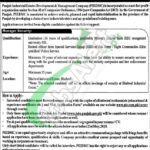 Punjab Industrial Estates Jobs