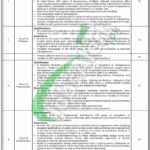 School Education Department Punjab Jobs