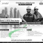 PSDF Jobs