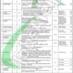 CTS Application Form WAPDA Careers 2026 | www.wapda.gov.pk WAPDA Careers Advertisement