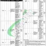 FIEDMC Jobs