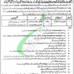 District Health Authority Faisalabad Jobs