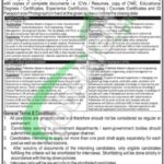 Local Govt & Rural Development Department KPK Jobs