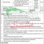 PO Box 555 GPO Peshawar Jobs