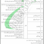Cantt Public School & College Jobs