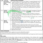 Medical Teaching Institution Bannu Jobs