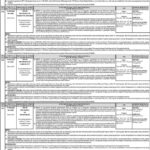PPSC Professor Jobs