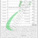 BISE Malakand Jobs