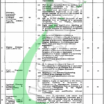 UHS Lahore Jobs