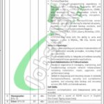 AJK Supreme Court Jobs