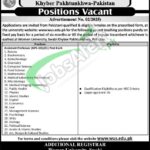 Women University Swabi Jobs