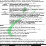 Pakistan Mineral Development Corporation Jobs