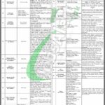 PPHI Sindh Jobs