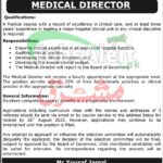 LRH Peshawar Jobs