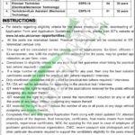 www.ist.edu.pk Jobs