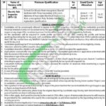 Energy & Power Department KPK Jobs 2026 Peshawar Latest Advertisement Energy & Power Department KPK Jobs