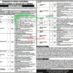 Directorate of Archaeology & Museums KPK Jobs