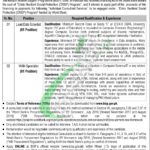 bisp.gov.pk careers