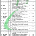 NSPP Jobs 2025 National School of Public Policy Lahore Latest NSPP Jobs