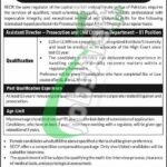SECP Jobs