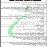 Sindh Mass Transit Authority Jobs