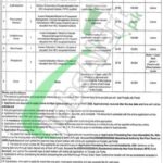 Punjab Masstransit Authority Jobs