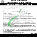 Board of Revenue Punjab Jobs