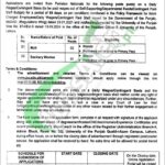 University of Punjab