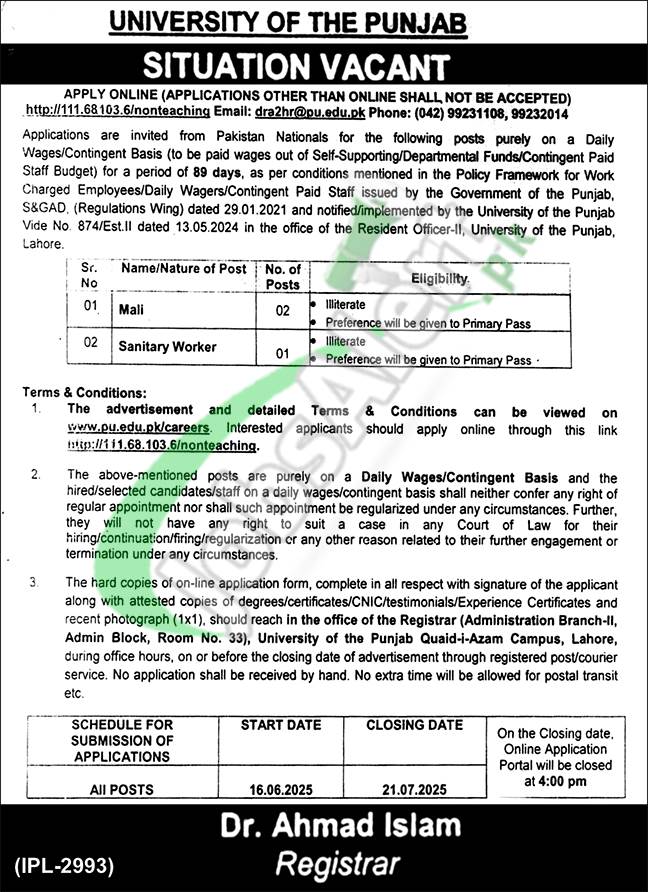 Punjab University Careers
