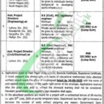Sports and Youth Affairs Department Punjab Jobs