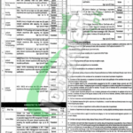 Punjab Health and Population Department Lahore Jobs