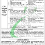 PPIF Jobs 2025 Punjab Population Innovation Fund Career Opportunities PPIF Jobs