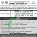 CBD Punjab Jobs