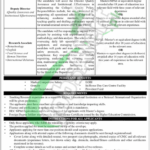 Kinnaird College Jobs