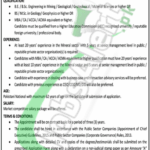 Punjab Mineral Company Jobs