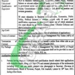 Board of Revenue Jobs