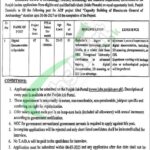 Tourism Archaeology and Museum Department Jobs