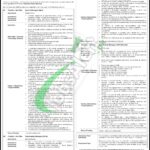 NBP Jobs